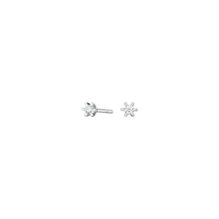 Silvur oyrastikk við 2,5 mm zirkon