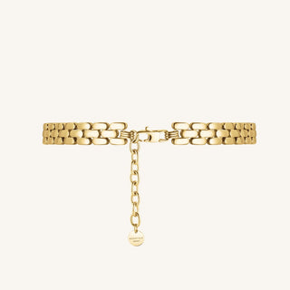 Gylt stál hálsketa - Rosefield