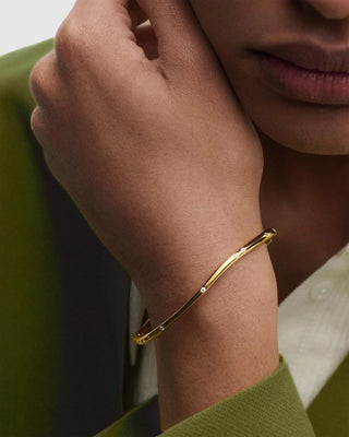 Armringur við Zikonum PD Paola