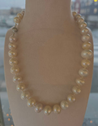 Perlu hálsketa, hvít.