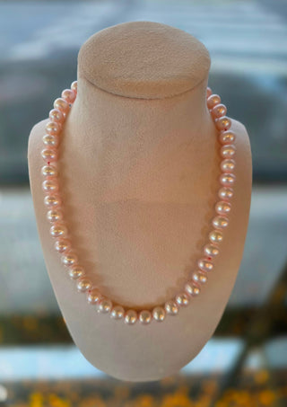 Perlu hálsketa, ljósareyð.