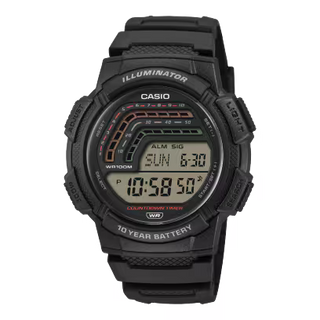 Casio Timeless